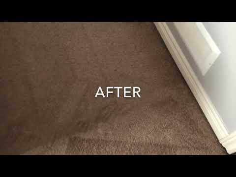 Carpet Cleaning Airbnb Bellevue WA