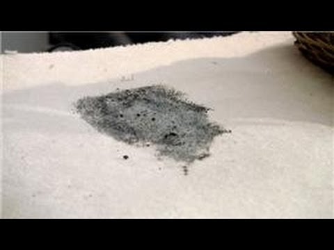 Carpet Cleaning : How To Get Mildew Out Of A Carpet WA