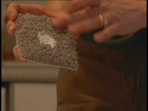 Cleaning Carpet Stains : Carpet Cleaning: Removing Dry Paint