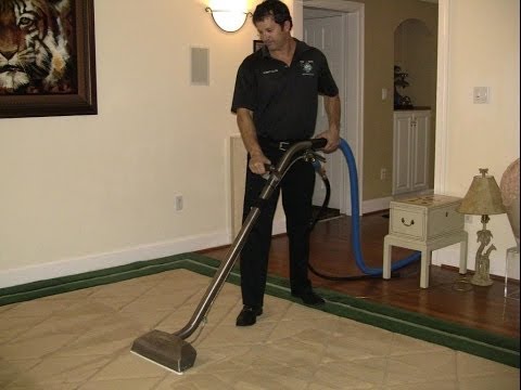 Getting Carpets Dry! 20 Tips & Tricks Of Everett WA