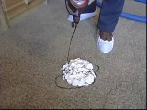 Professional Carpet Cleaning Tips : Spot Treating Carpet WA