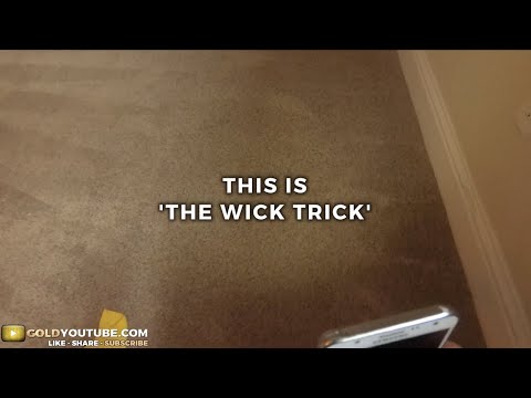 The Wick Trick Taking Care Of Carpet Wicking Bothell WA