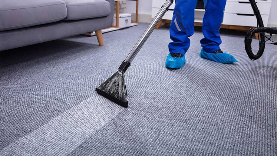 Professional Carpet Cleaning