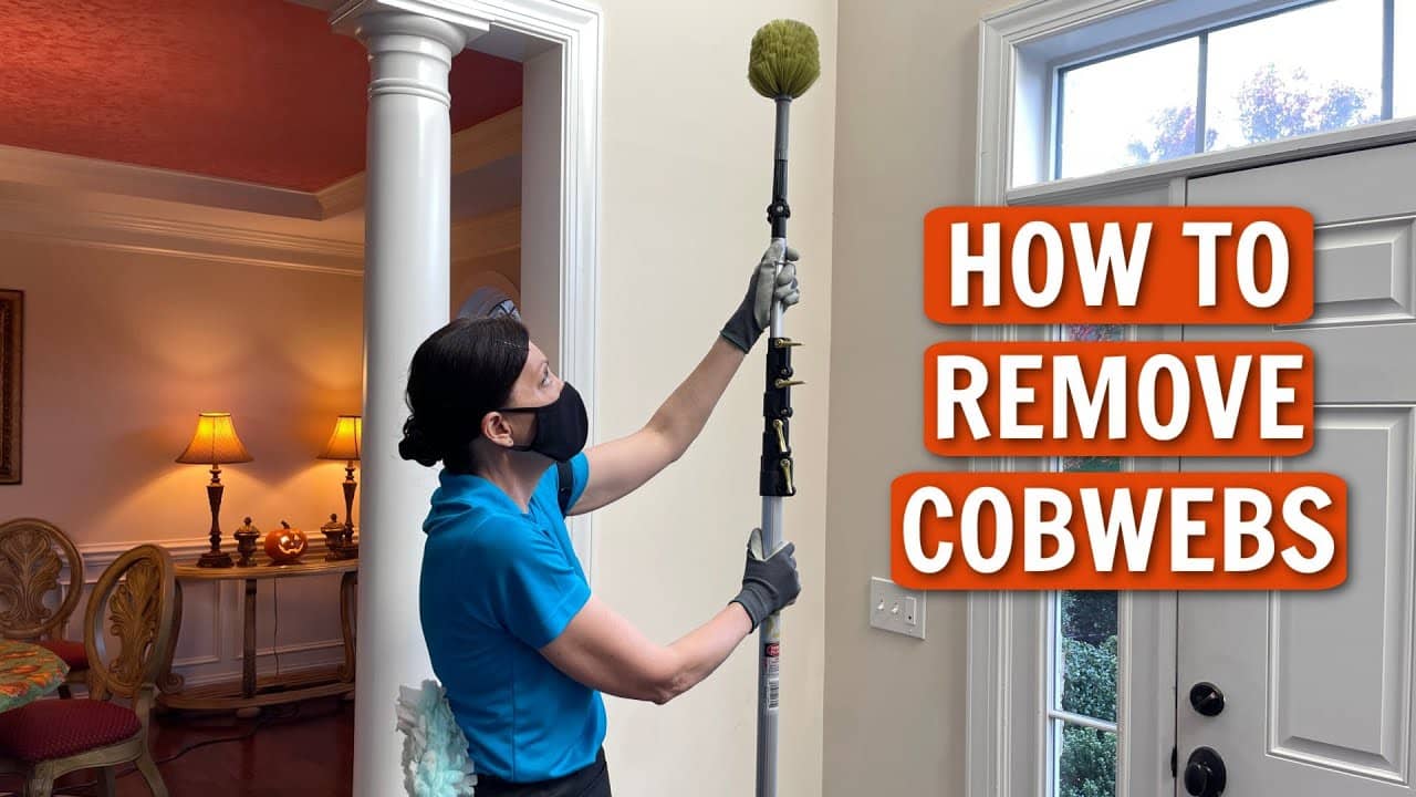 House Cleaning Tips_ How to Remove Cobwebs At Home Queen Bee Cleaning