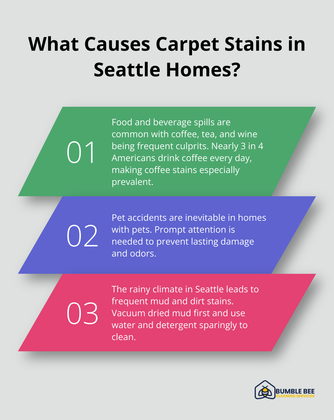 Fact - What Causes Carpet Stains in Seattle Homes?