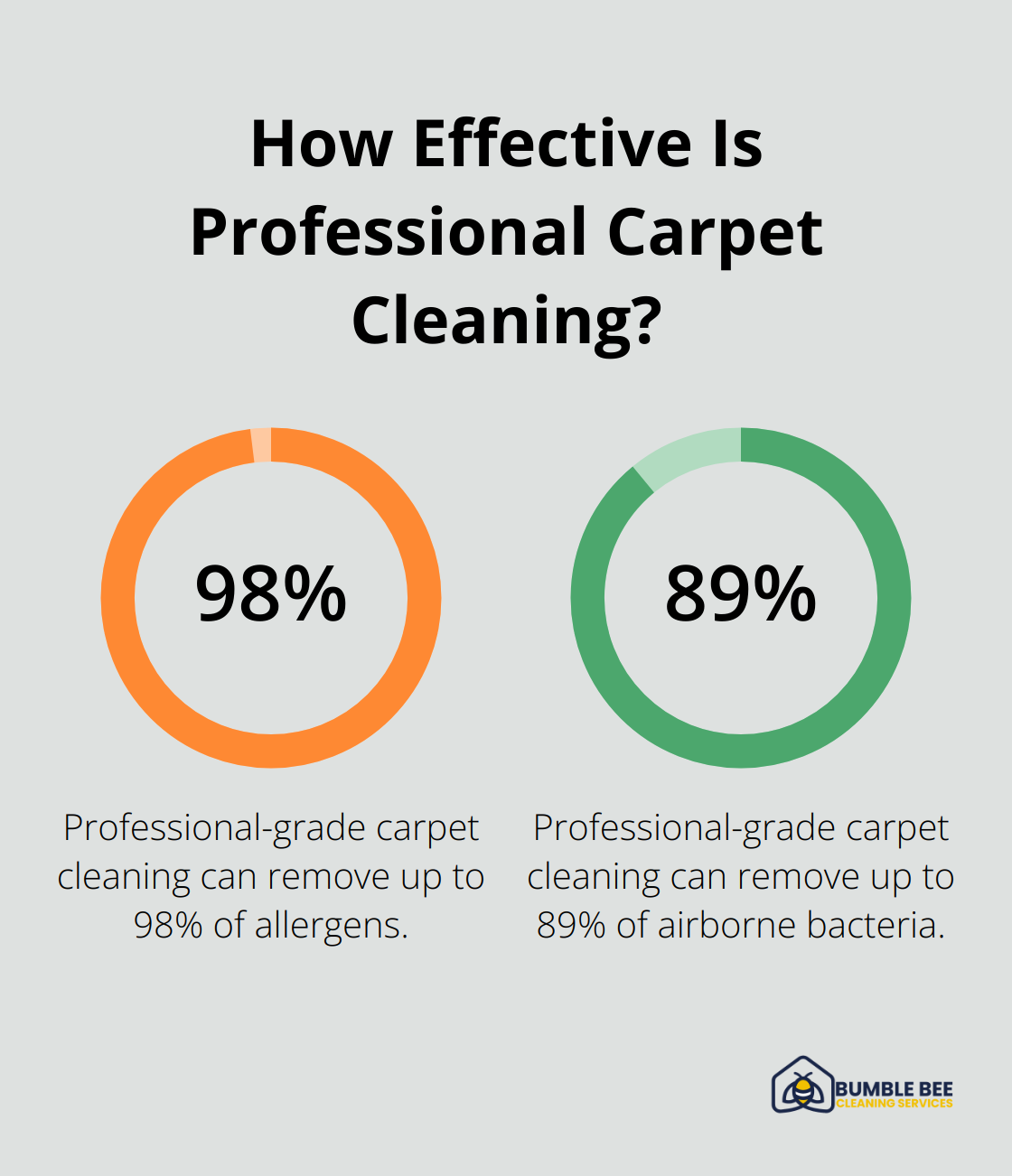 Fact - How Effective Is Professional Carpet Cleaning?