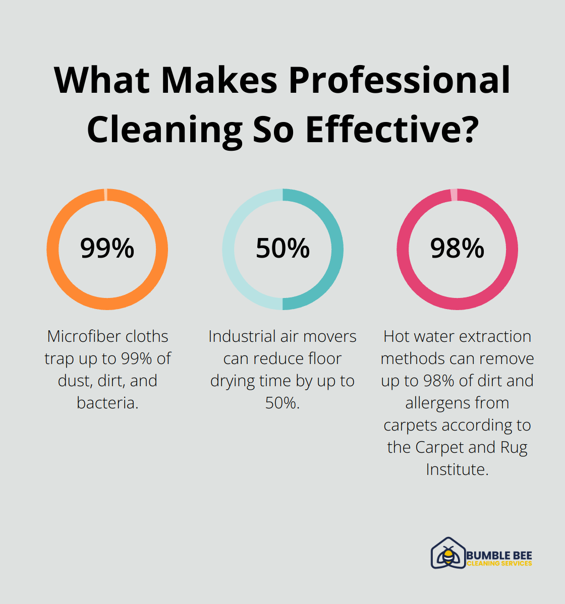 Infographic: What Makes Professional Cleaning So Effective?