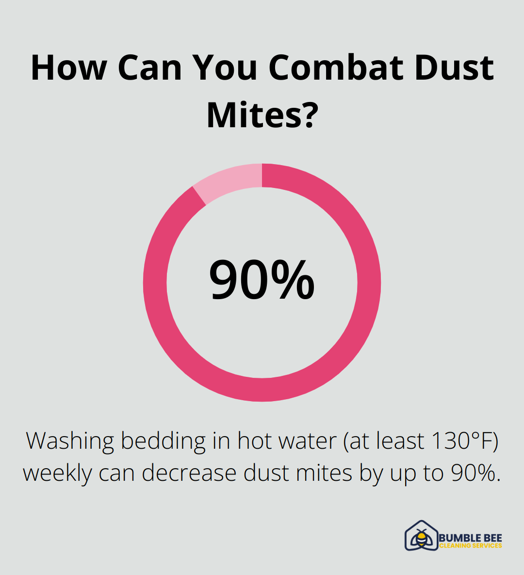 Infographic: How Can You Combat Dust Mites?