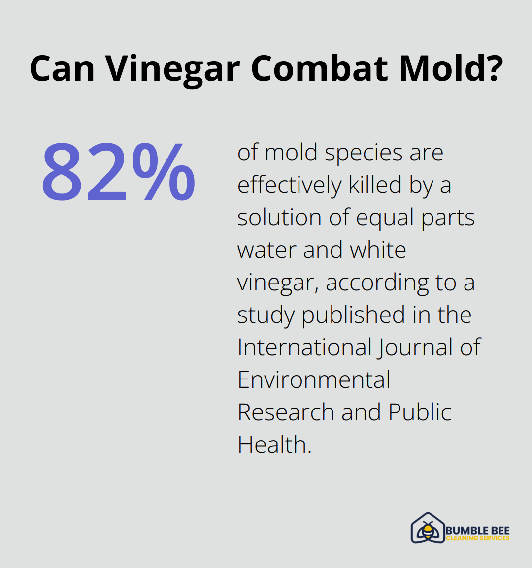 Infographic: Can Vinegar Combat Mold?